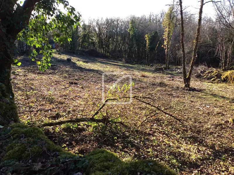 Terrain, 4 159 m²