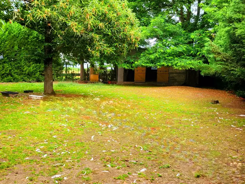 Maison, 196 m²