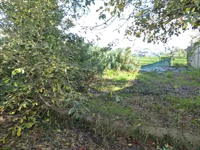 Maison, 81 m²
