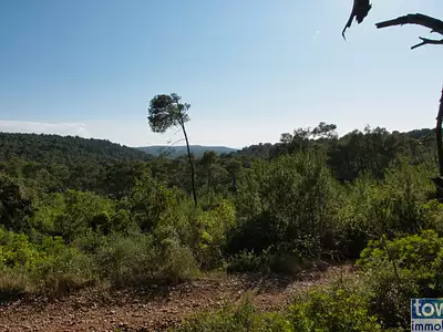 Terrain, 42 302 m²