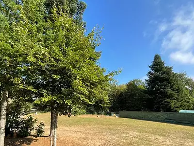 Terrain, 1 278 m²