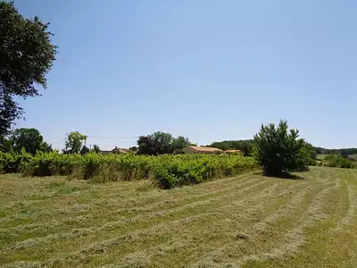 Maison, 75 m²