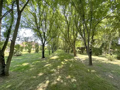 Maison, 225 m²
