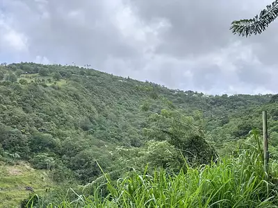 Terrain, 922 m²