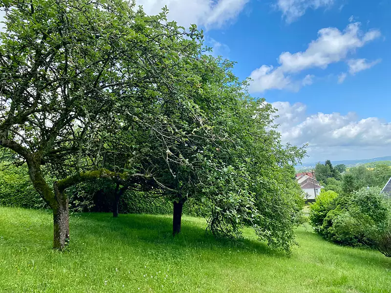 Maison, 180,57 m²