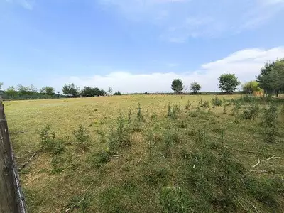 Maison, 163 m²