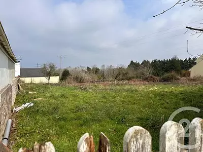 Terrain