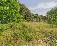 Terrain, 486 m²