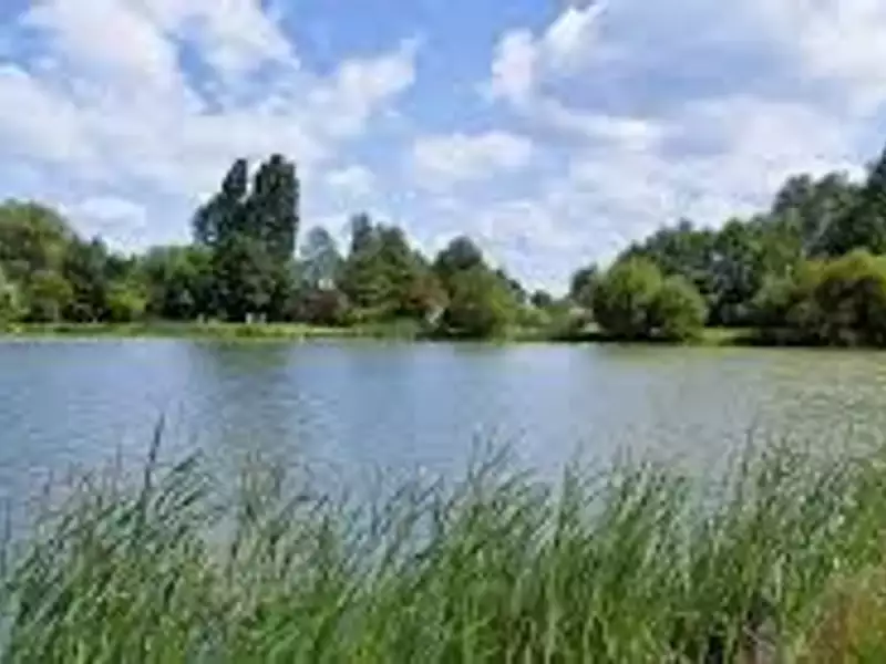 Terrain, 276 m²