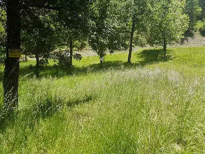 Terrain, 1 095 m²