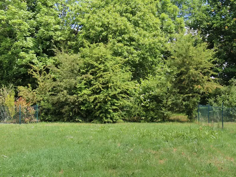 Maison, 96 m²