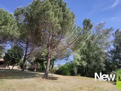 Maison, 217 m²