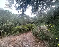 Terrain, 6 091 m²