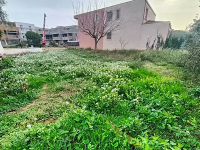 Terrain, 363 m²