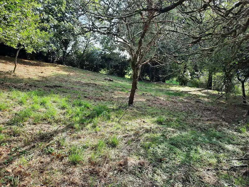 Terrain, 1 888 m²