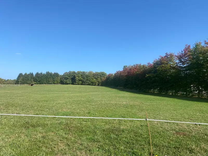 Terrain, 1 245 m²