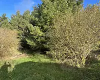 Terrain, 3 499 m²