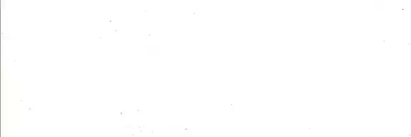 AIB 81