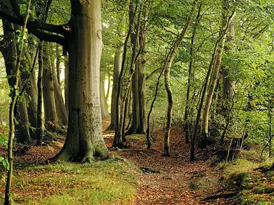 Terrain, 406 130 m²