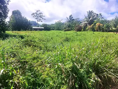 Terrain, 2 590 m²