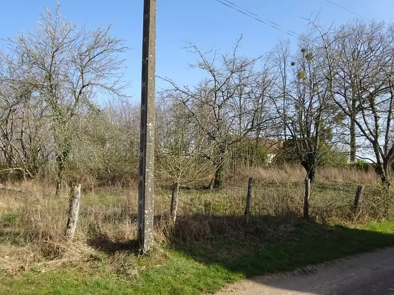 Terrain, 1 341 m²
