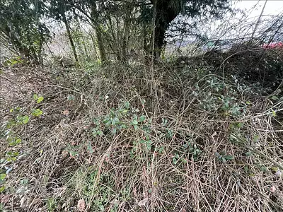 Terrain, 1 024 m²