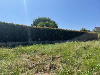 Terrain, 460 m²