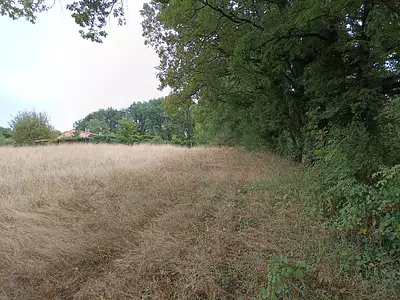 Terrain, 33 821 m²