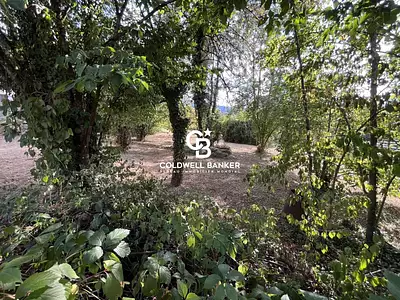 Terrain, 679 m²