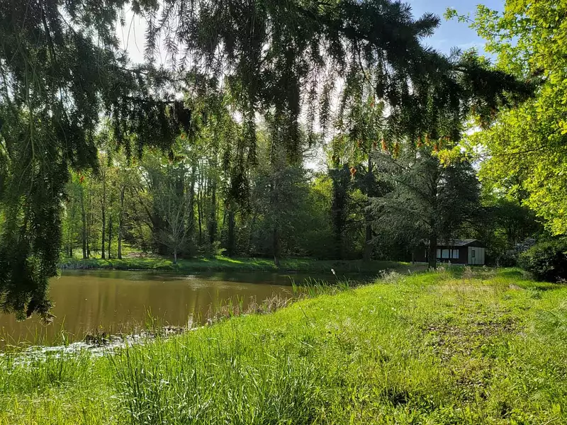 Terrain, 50 000 m²