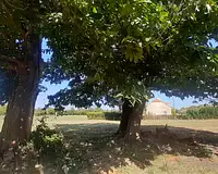 Terrain, 2 200 m²