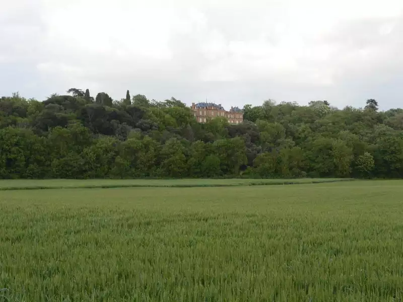 Terrain, 779 m²