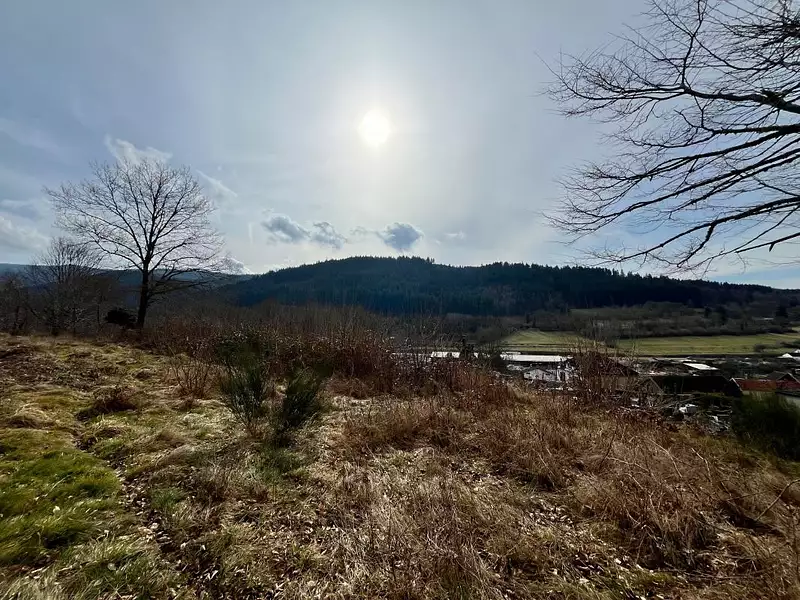 Terrain, 3 200 m²