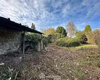 Terrain
