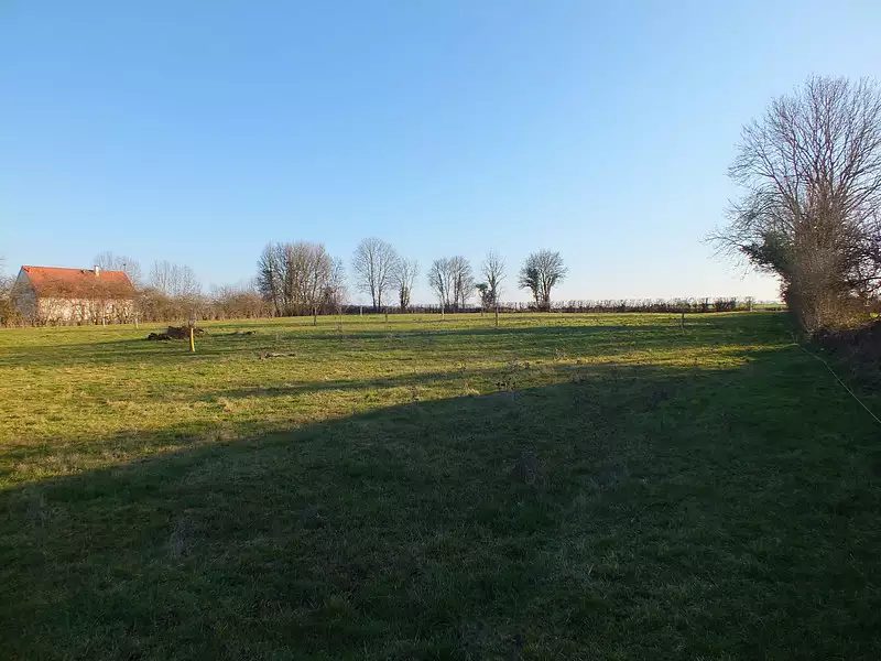 Terrain, 5 990 m²