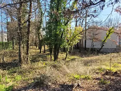 Terrain, 717 m²
