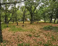 Terrain, 720 m²