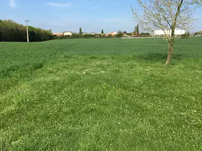 Terrain à bâtir