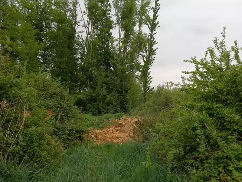 Terrain, 2 924 m²