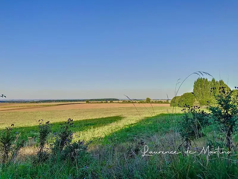 Terrain, 1 131 m²