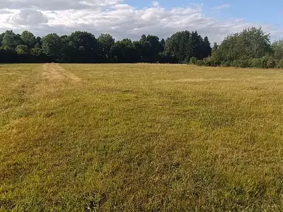 Terrain, 9 159 m²