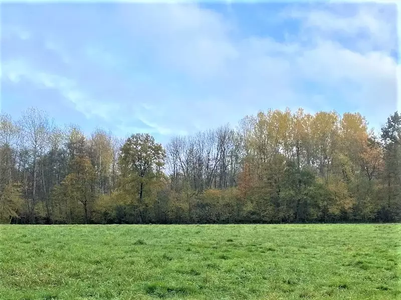 Terrain, 23,5 m²