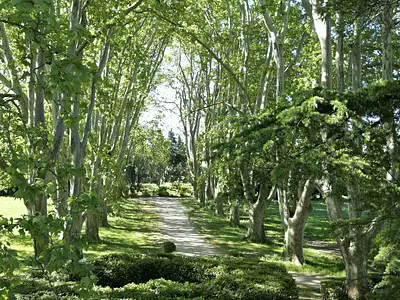 Maison, 350 m²
