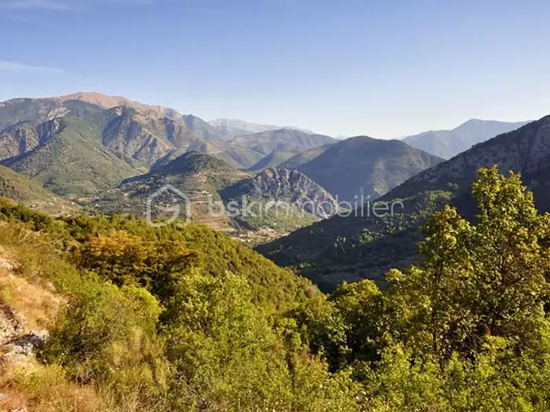 Terrain, 100 435 m²