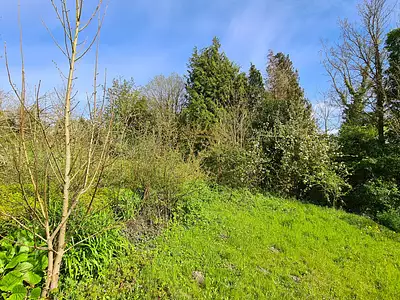 Terrain, 1 000 m²