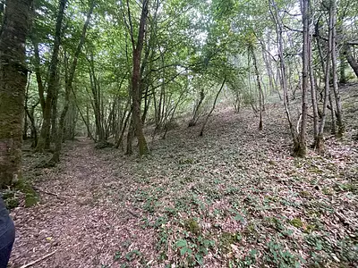 Terrain, 13 907 m²