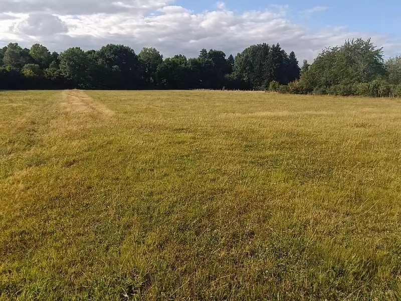 Terrain, 9 159 m²
