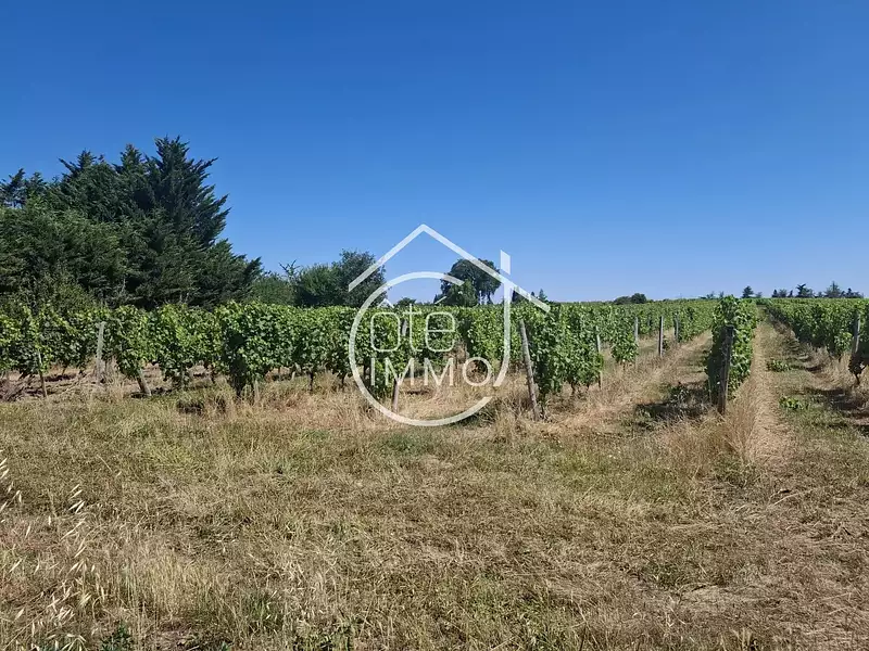 Maison, 140 m²