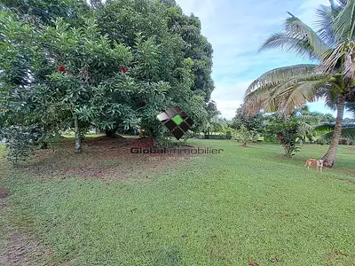 Terrain, 2 000 m²