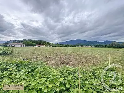 Terrain